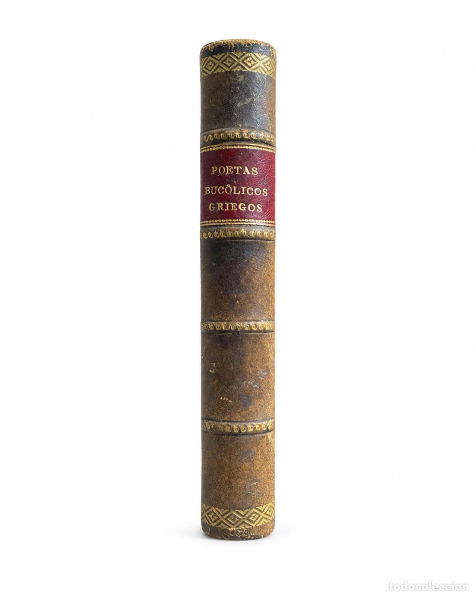 Libros de segunda mano: POETAS BUC&Oacute;LICOS GRIEGOS &ndash; IGNACIO MONTES DE OCA Y OBREG&Oacute;N LIBRER&Iacute;A DE LOS SUCESORES DE HERNANDO LM