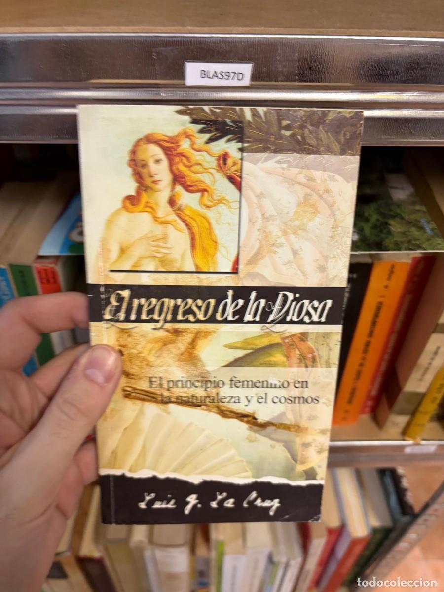 Second hand books: BLAS97D El regreso de la Diosa, El principio femenino en la naturaleza y el cosmos, Am&eacute;rica Ib&eacute;rica,