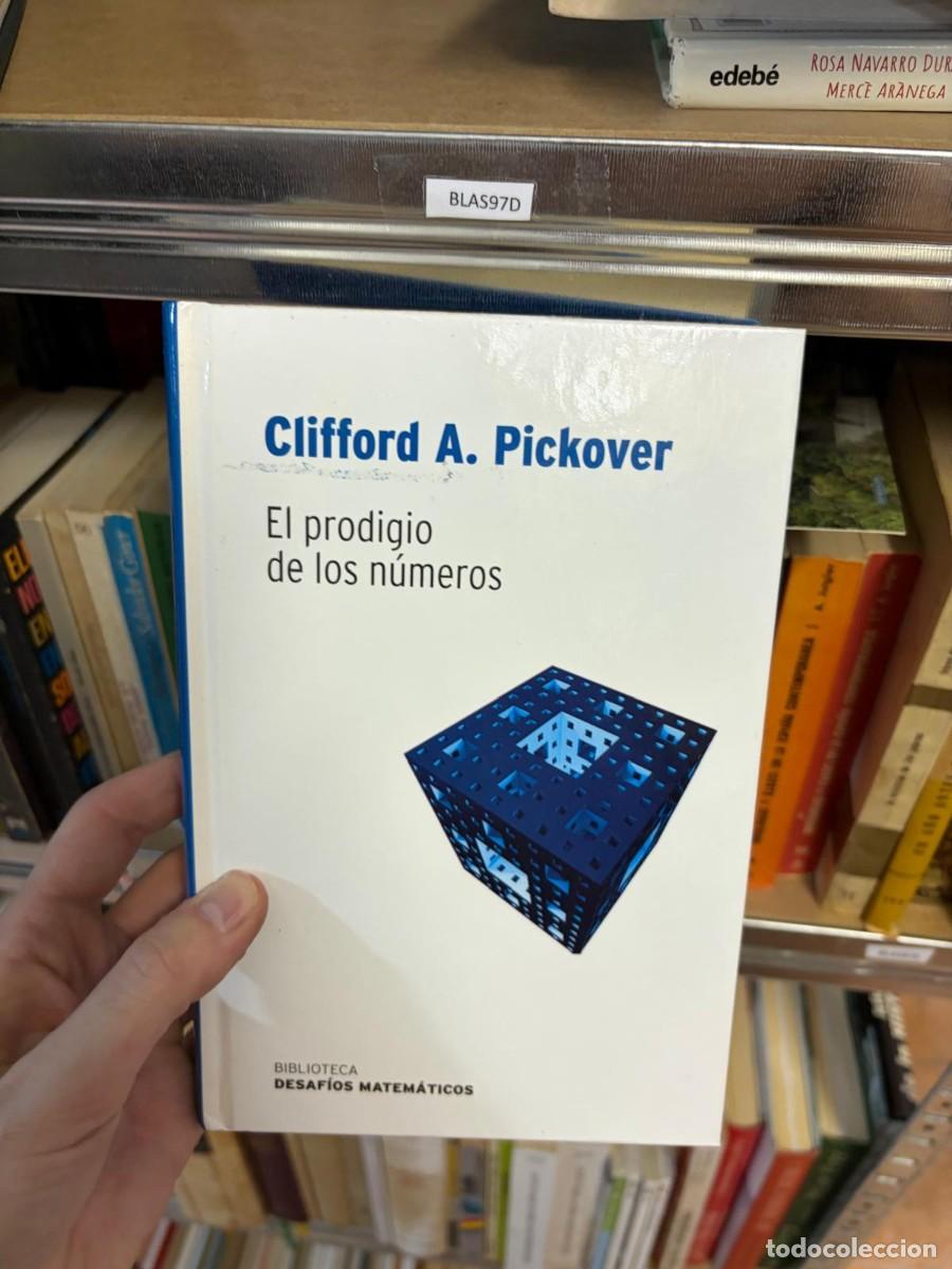 Libri di seconda mano: BLAS97D El prodigio de los n&uacute;meros, Clifford A. Pickover, RBA