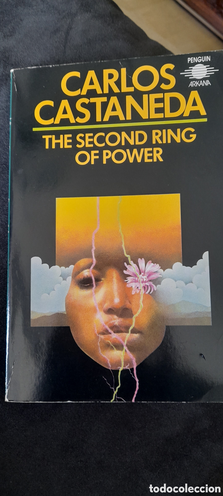 Second hand books: The second ring of power. Carlos Castaneda