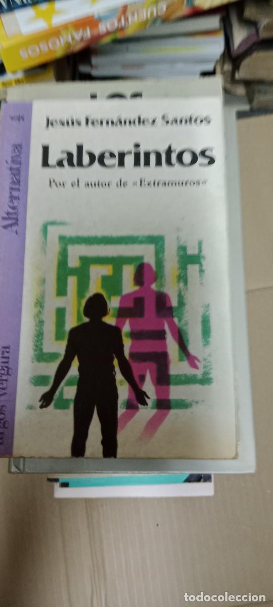 Libros de segunda mano: LABERINTOS JESUS FERNANDEZ LIBRO GG-BGA