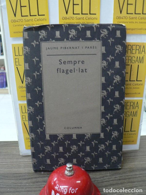 Libros de segunda mano: Sempre flagel.lat - Pibernat Par&eacute;s, Jaume - Columna Cat - Poesia Auria