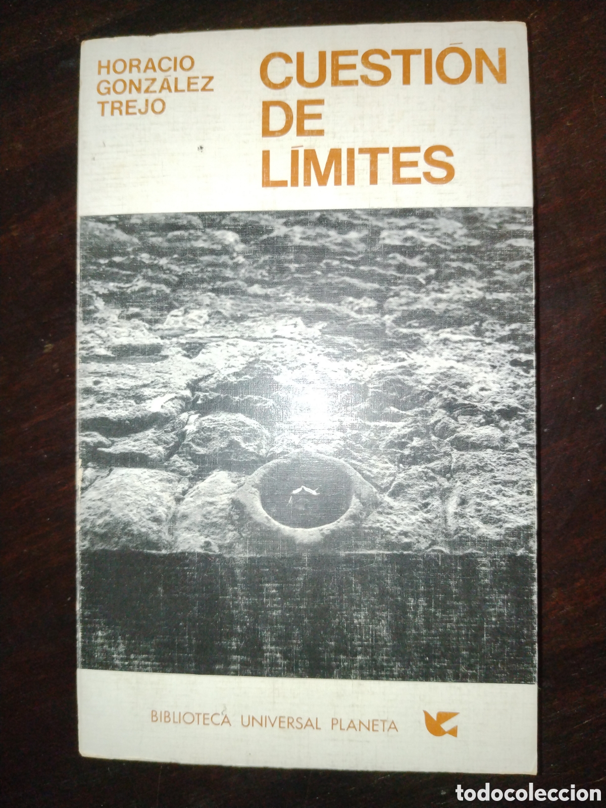 Libros de segunda mano: Cuesti&oacute;n de l&iacute;mites. Horacio Gonz&aacute;lez Trejo.