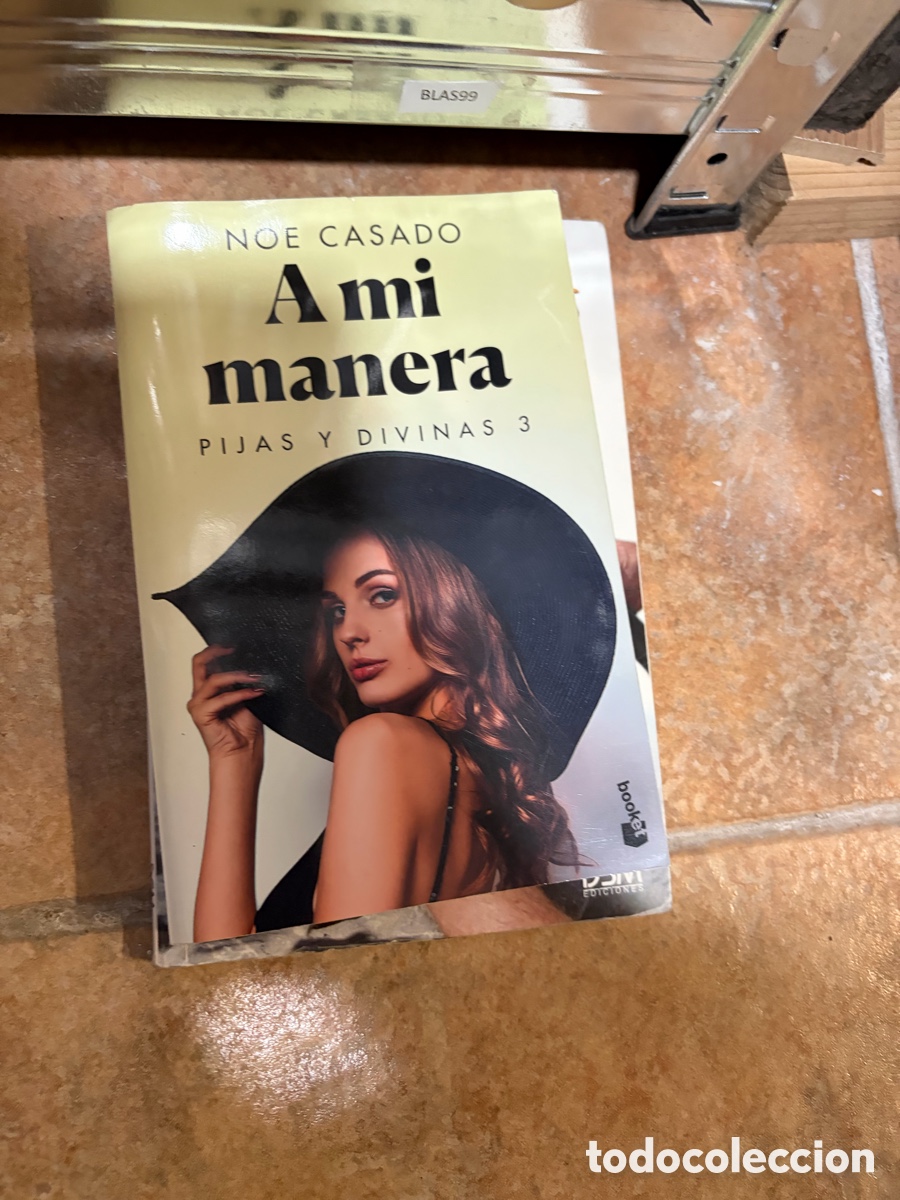 Libros de segunda mano: BLAS99 NOE CASADO A mi manera PIJAS Y DIVINAS 3