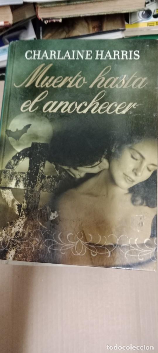 Libros de segunda mano: MUERTO HASTA EL ANOCHECER CHARLAINE HARRIS LIBRO GG-BGA