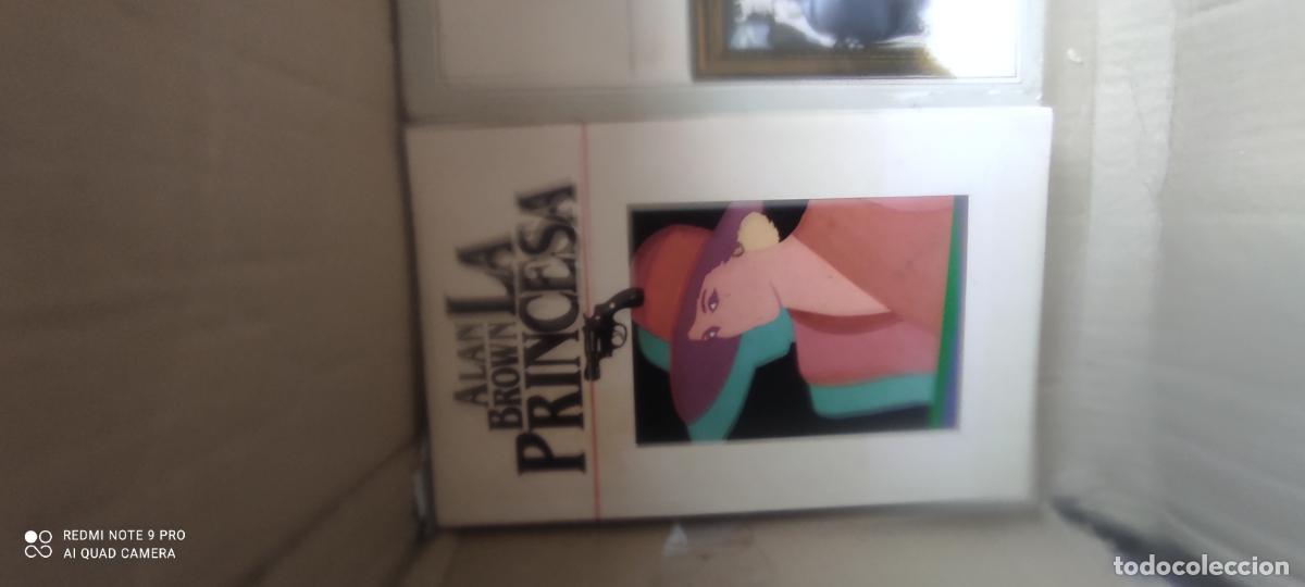 Libros de segunda mano: La princesa: Brown, Allan.-