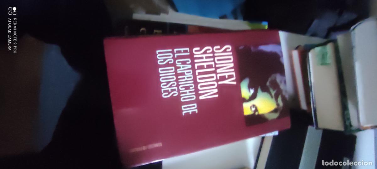 Libros de segunda mano: Sheldon. El capricho de los dioses