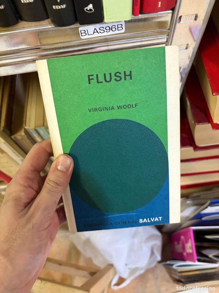Libros de segunda mano: BLAS96B Flush &mdash; Virginia Woolf &mdash; Salvat Editores