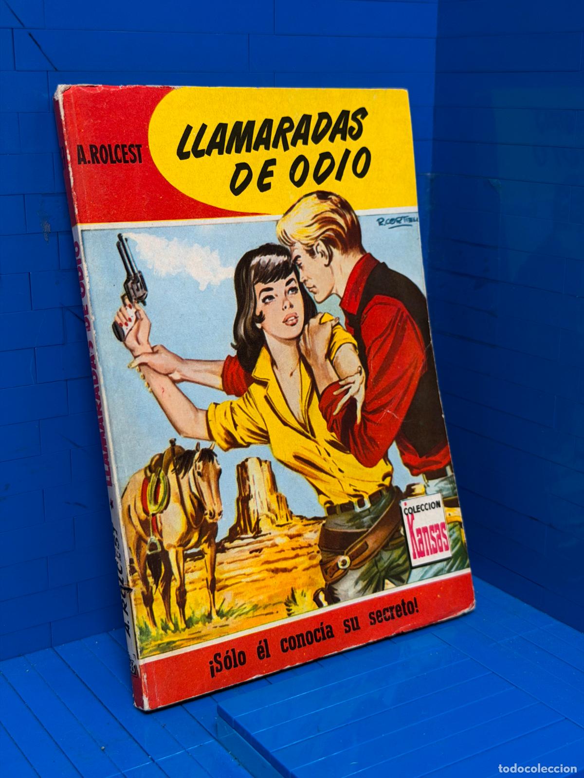 Libros de segunda mano: LLAMARADAS DE ODIO &ndash; COLECCION KANSAS &ndash; ED. BRUGUERA