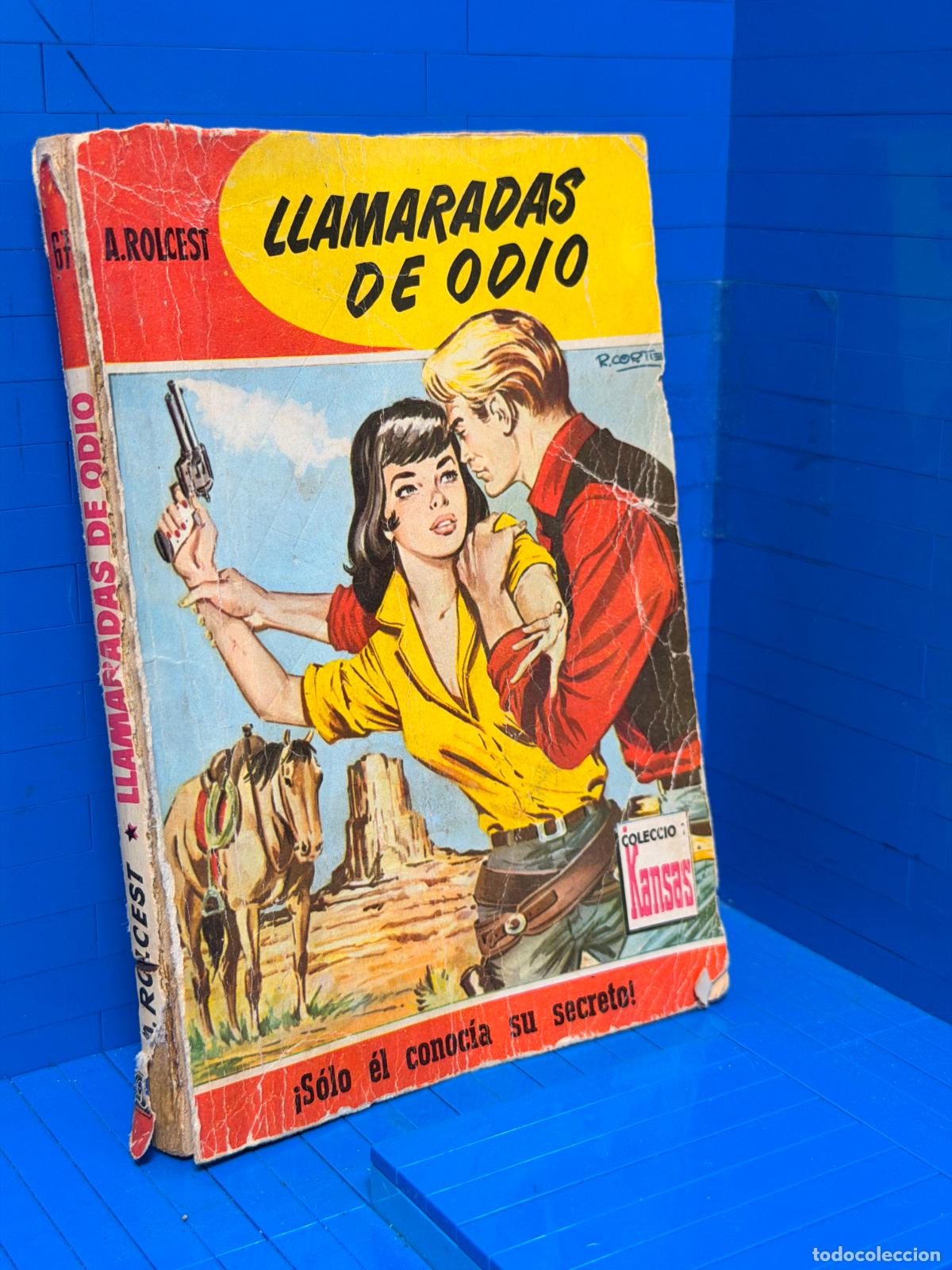 Libros de segunda mano: LLAMARADAS DE ODIO &ndash; COLECCION KANSAS &ndash; ED. BRUGUERA