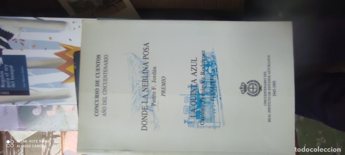 Libros de segunda mano: Pedro F. Jordan. Donde la neblina posa