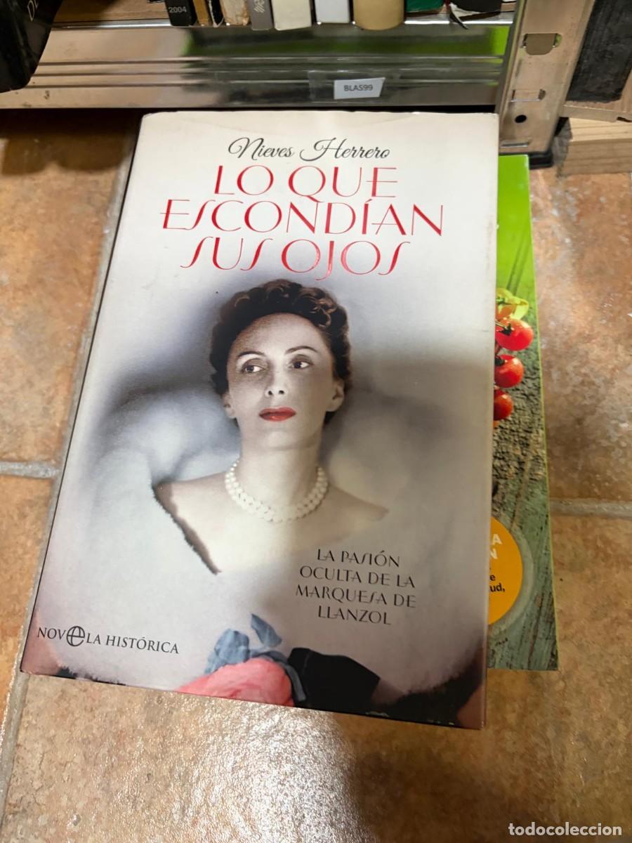 Libros de segunda mano: BLAS99 - nieves Herrero LO QUE ESCONDIAN SUS OJOS