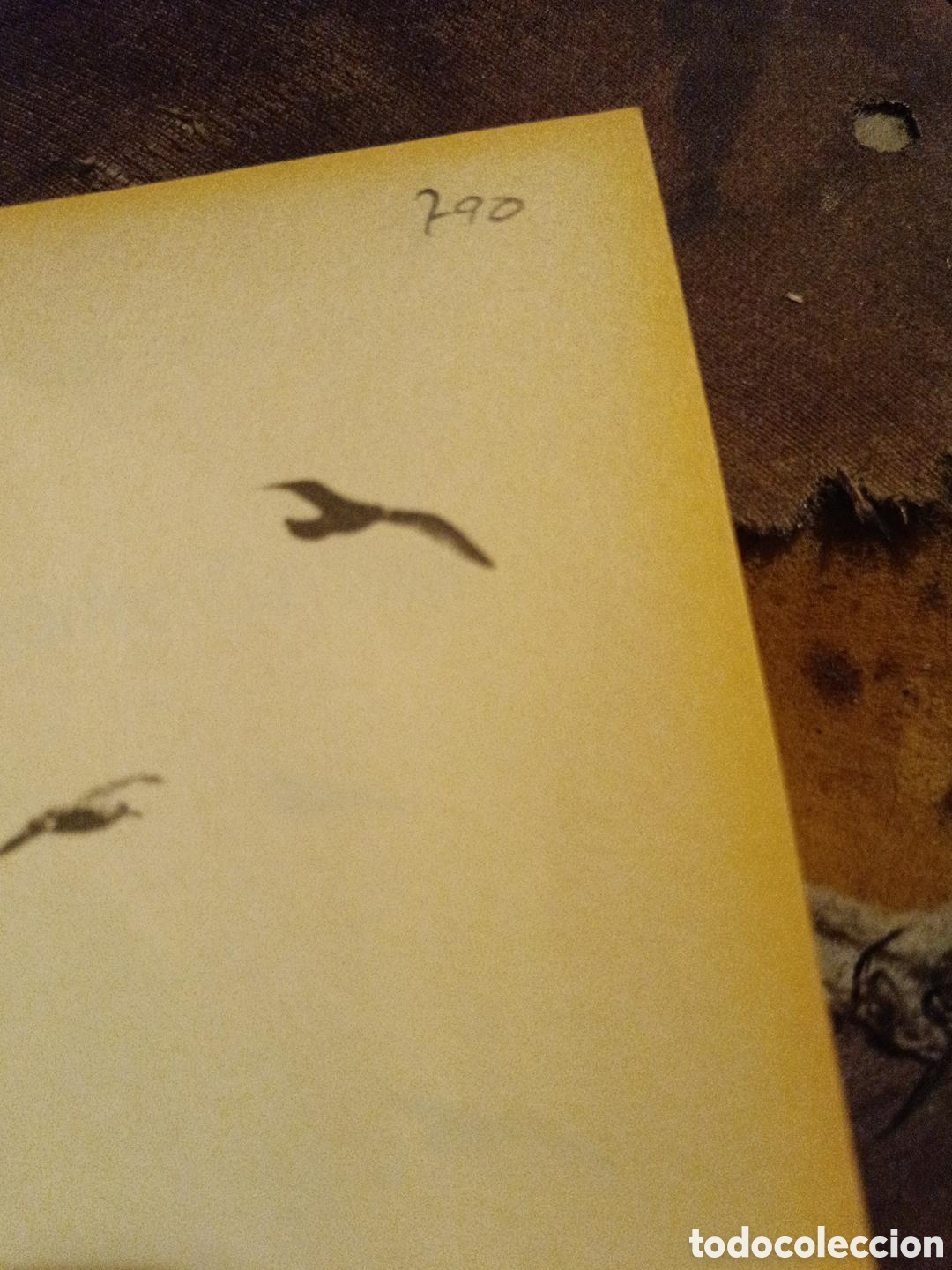 Libros de segunda mano: Juan Salvador Gaviota - Richard Bach