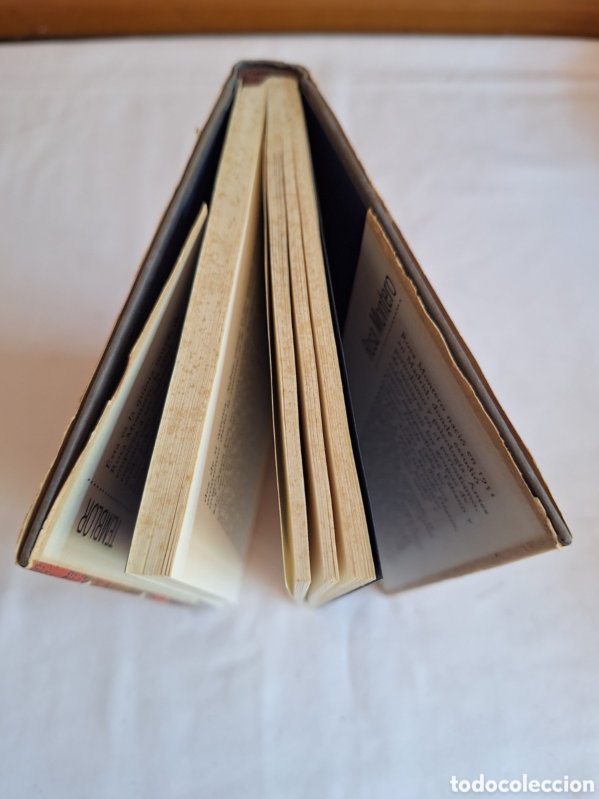 Libros de segunda mano: TEMBLOR - ROSA MONTERO - CIRCULO DE LECTORES 1990 - Foto 2