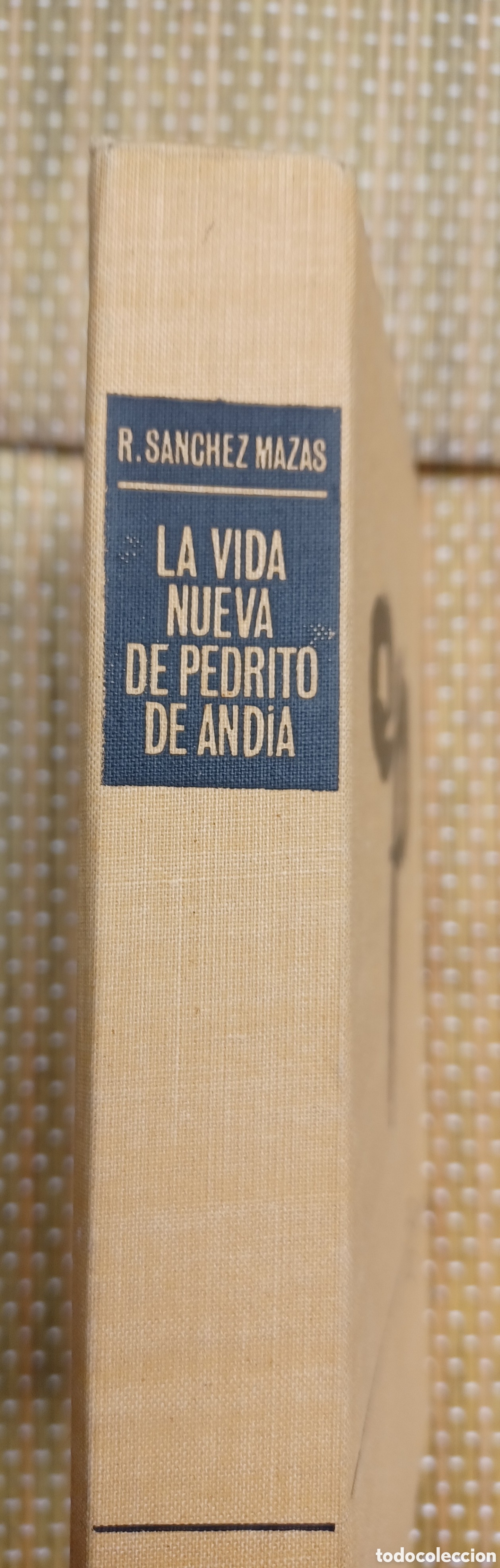 Libros de segunda mano: La vida nueva de Pedrito de And&iacute;a Rafael S&aacute;nchez Mazas