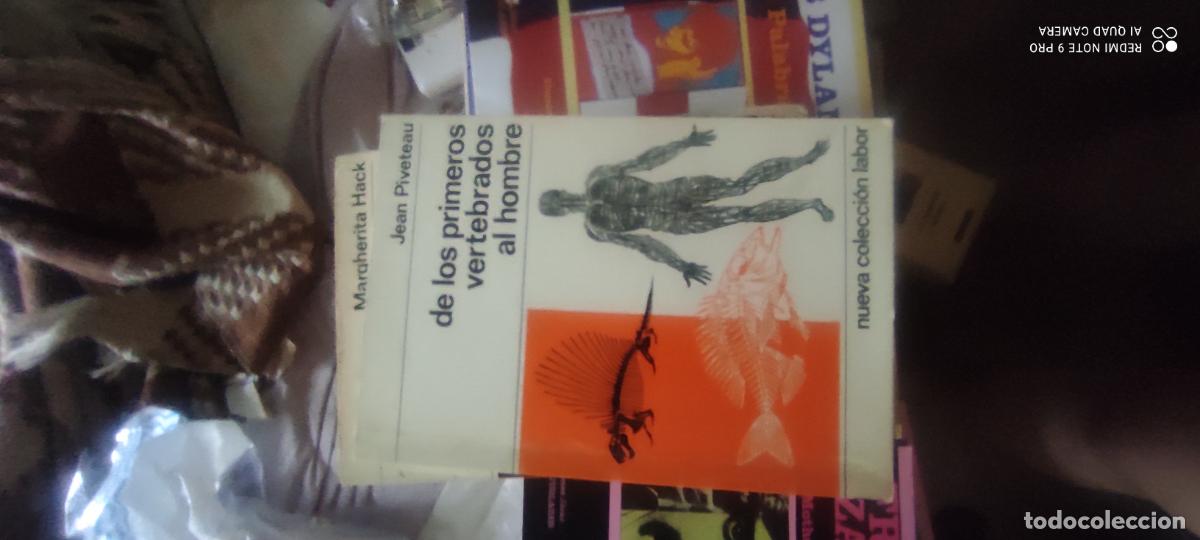 Libros de segunda mano: De los primeros vertebrados al hombre. Jean Piveteau. Nueva colecci&oacute;n Labor 59.
