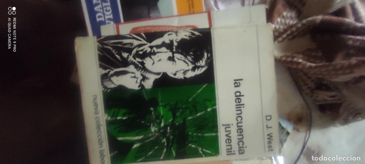 Libros de segunda mano: LA DELINCUENCIA JUVENIL - D. J. WEST - LABOR 1970 -