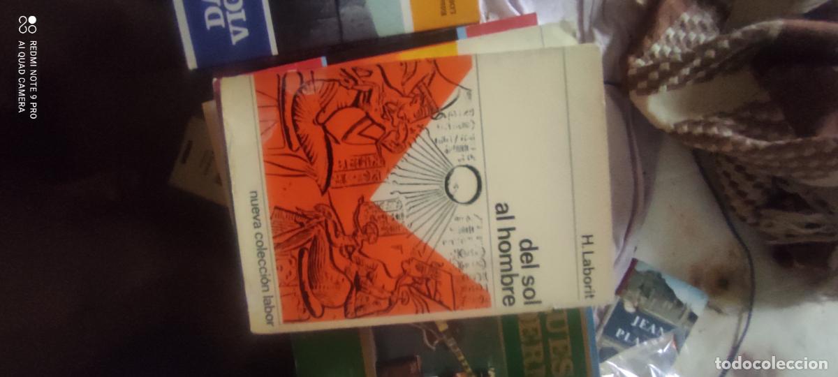 Libros de segunda mano: DEL SOL AL HOMBRE. NUEVA COLECCION LABOR 1. - H. LABORIT. l