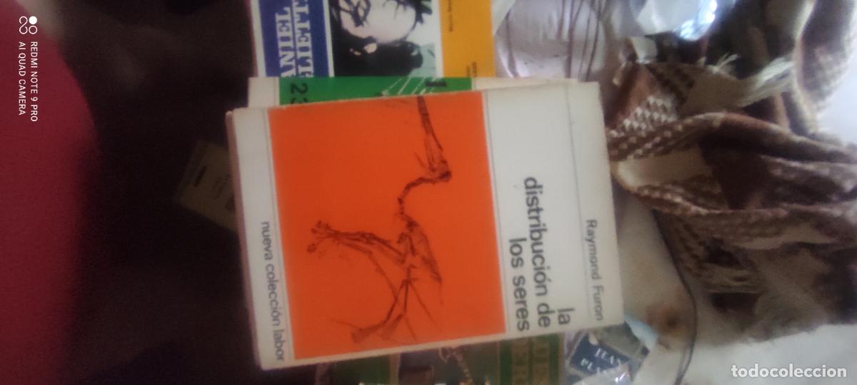 Libros de segunda mano: LA DISTRIBUCION DE LOS SERES - RAYMOND FURON - EDITORIAL LABOR 1965