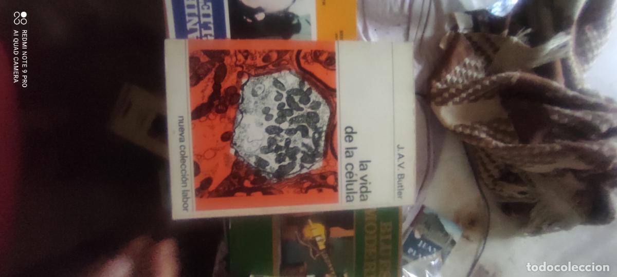 Libros de segunda mano: LA VIDA DE LA C&Eacute;LULA - J. A. V. BUTLER - NUEVA COLECCI&Oacute;N LABOR