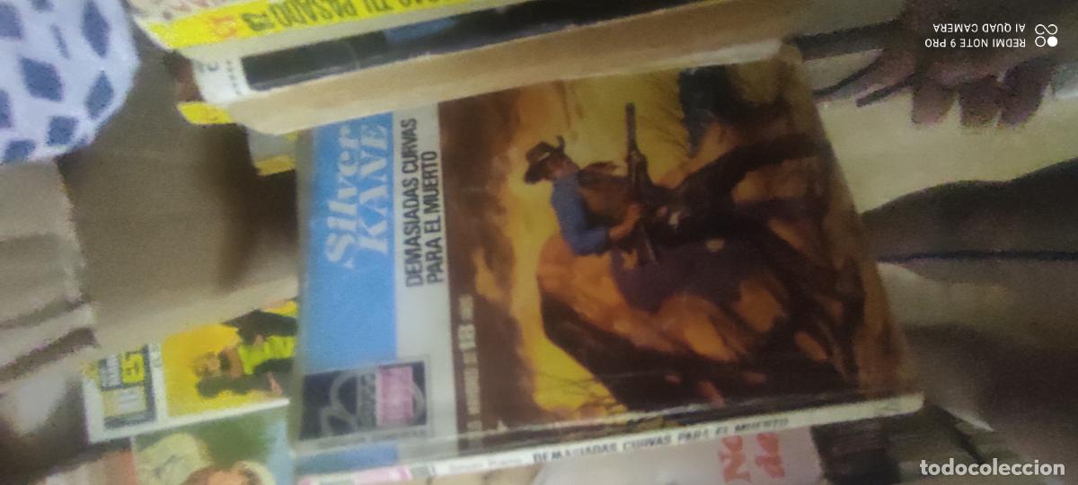 Libros de segunda mano: Demasiadas curvas para el muerto. Silver Kane