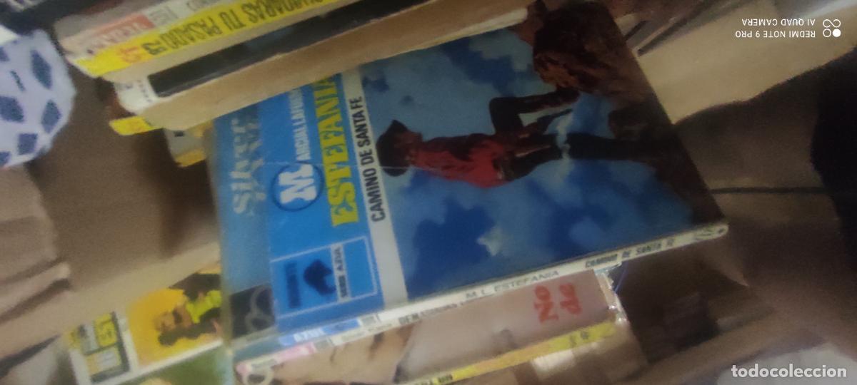 Libros de segunda mano: Camino de Santa Fe l