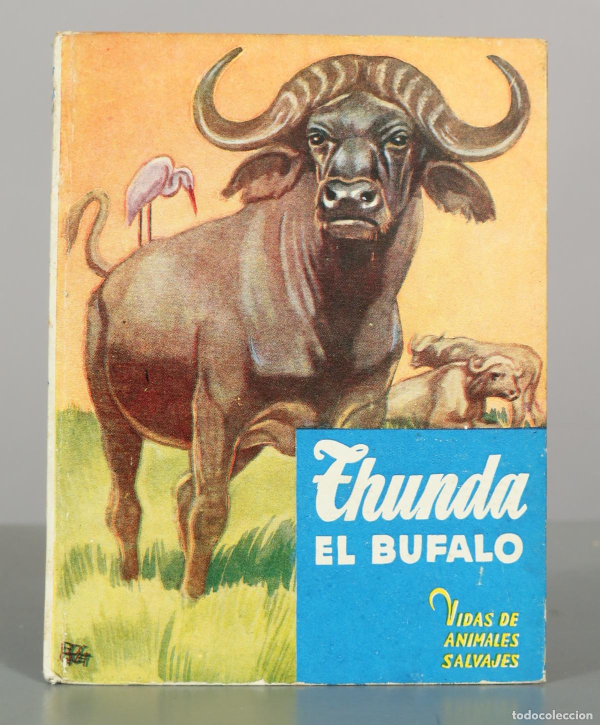 Libros de segunda mano: Thunda el b&uacute;falo - C. Bernard Rutley - Editorial Molino