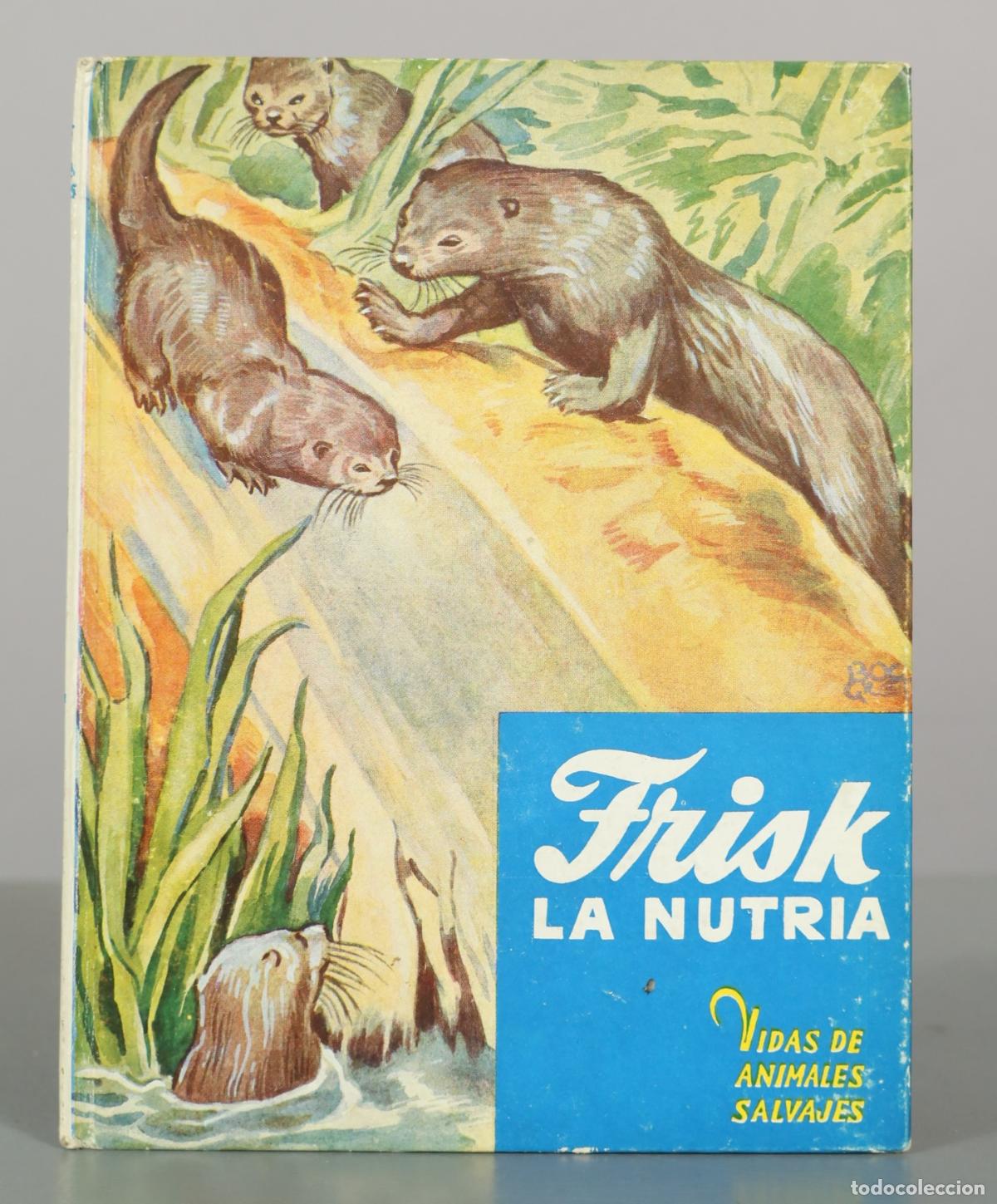 Libros de segunda mano: Frisk, la nutria - C. Bernard Rutley - Stuart Tresilian - Editorial Molino