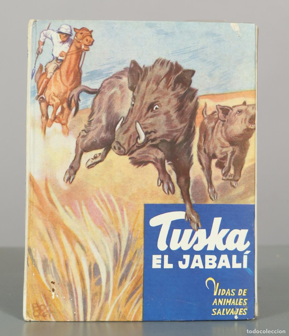 Libros de segunda mano: Tuska, el jabal&iacute; - C. Bernard Rutley - Editorial Molino