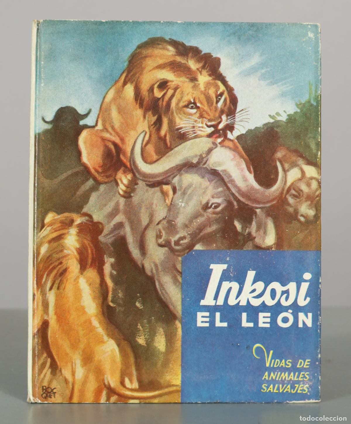 Libros de segunda mano: Inkosi, el le&oacute;n - C. Bernard Rutley - Editorial Molino