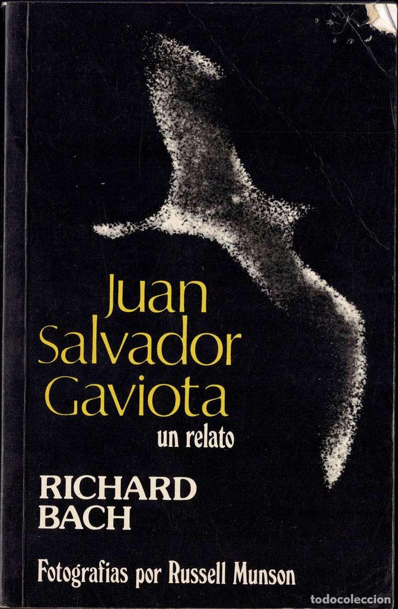 Libros de segunda mano: Juan Salvador Gaviota. Con fotograf&iacute;as de Russell Munson - Richard Bach