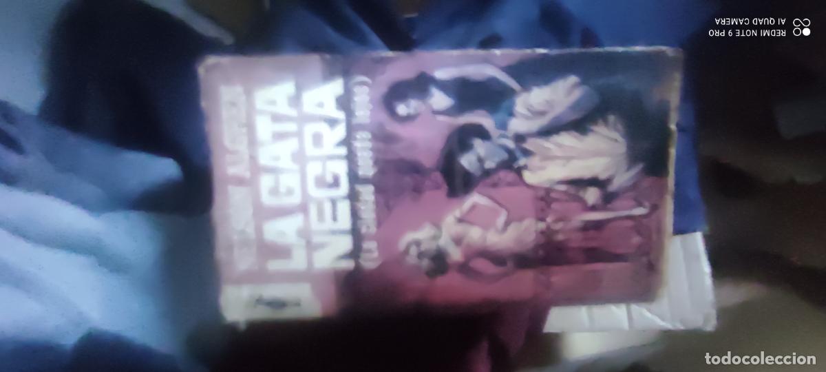 Libros de segunda mano: La gata negra: Algren, Nelson.-