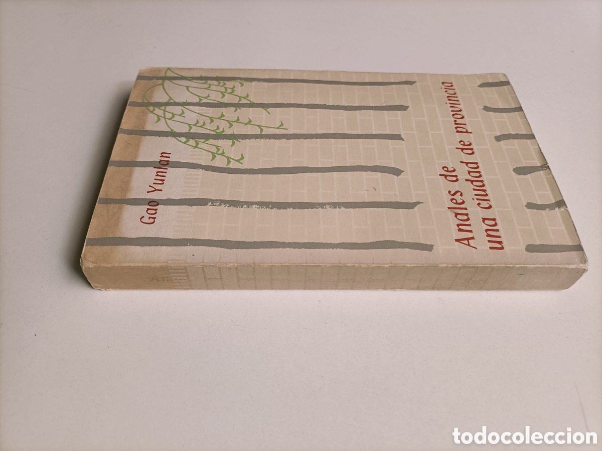 Libros de segunda mano: Anales de una ciudad de provincia. Gao Yunlan