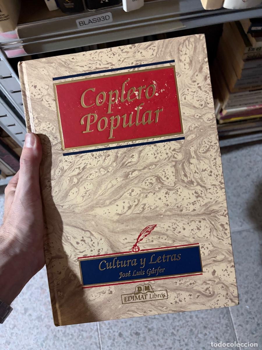Libros de segunda mano: BLAS93D Coplero Popular. Cultura y Letras &mdash; Jos&eacute; Luis G&aacute;fter &mdash; EDIMAT Libros