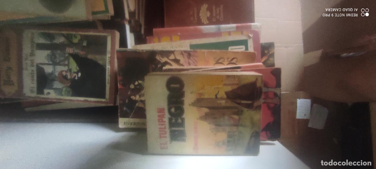 Libros de segunda mano: El Tulip&aacute;n Negro. Mini libro