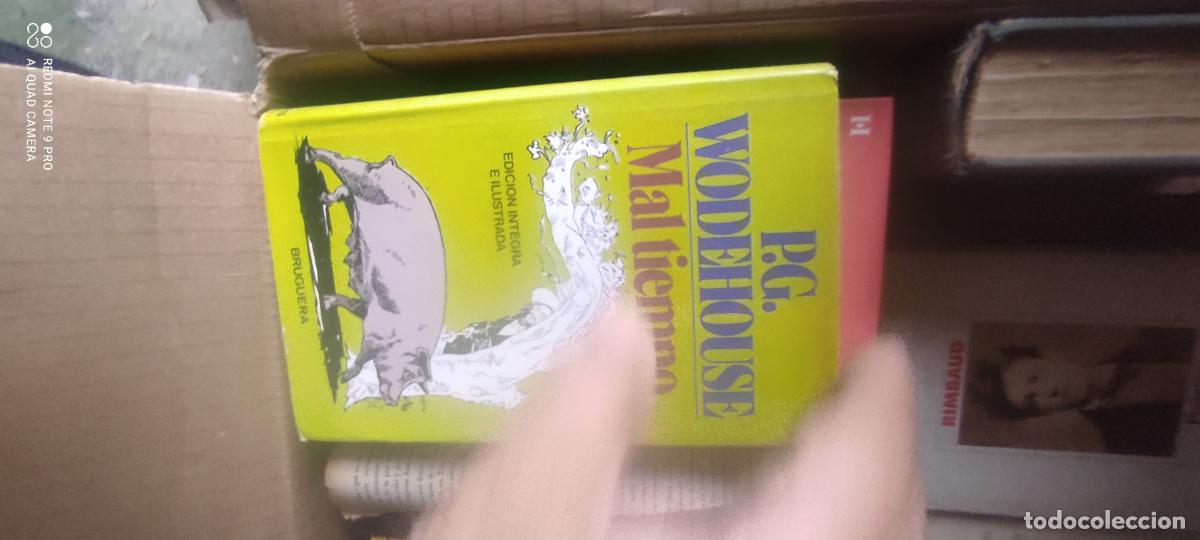 Libros de segunda mano: Mal tiempo - WOODHOUSE, P. G.