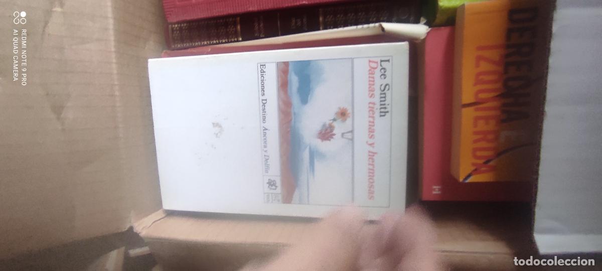 Libros de segunda mano: DAMAS TIERNAS Y HERMOSAS, LEE SMITH, &Aacute;NCORA Y DELF&Iacute;N