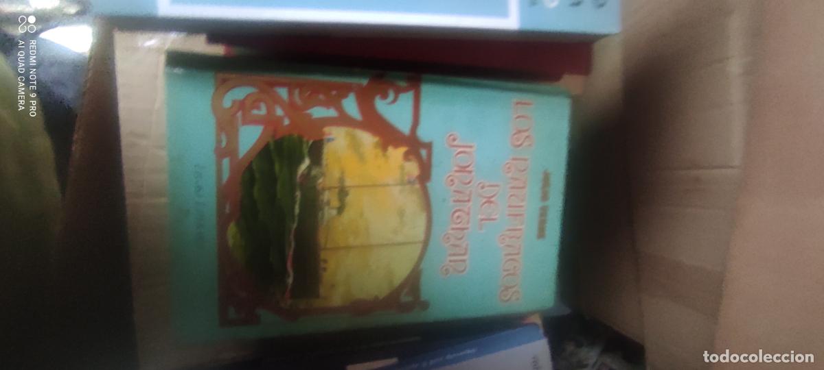 Libros de segunda mano: Julio Verne Los n&aacute;ufragos del Jonathan