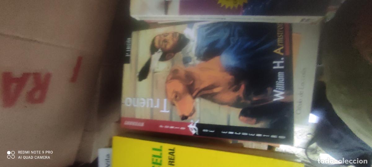 Libros de segunda mano: TRUENO - WILLIAM ARMSTRONG