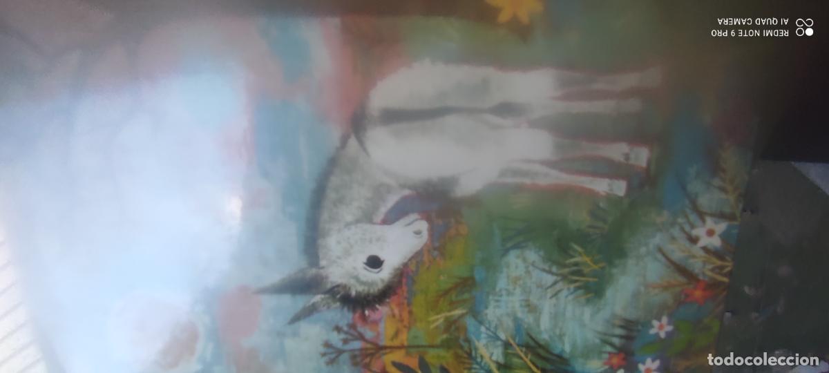 Libros de segunda mano: J. R. Jim&eacute;nez. Platero y yo