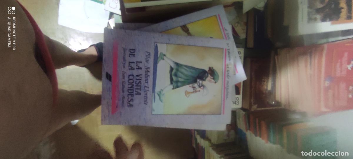 Libri di seconda mano: La Visita de la condesa.- Molina Llorente, Pilar