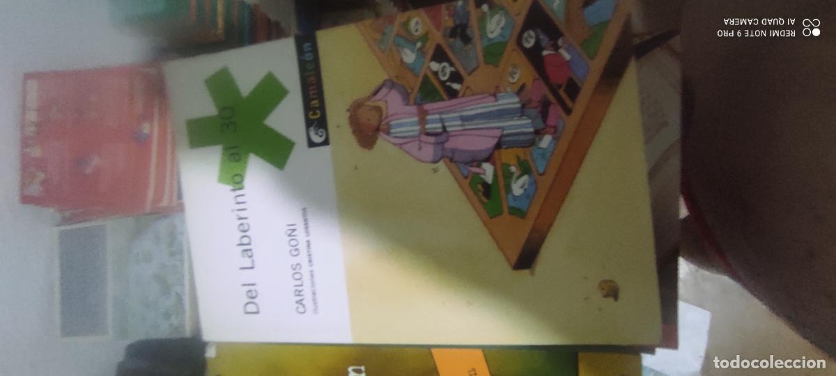 Gebrauchte B&uuml;cher: DEL LABERINTO AL 30 - Go&ntilde;i, Carlos
