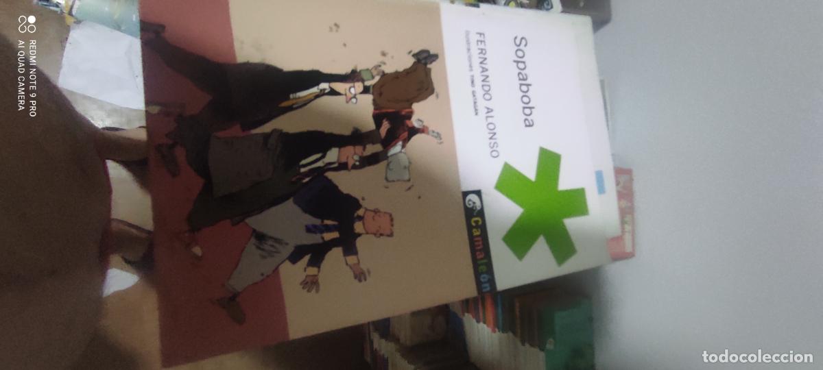 Libros de segunda mano: SOPABOBA - FERNANDO ALONSO