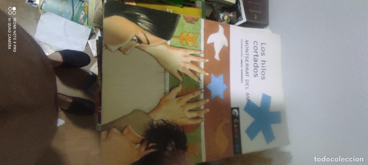 Libros de segunda mano: Los hilos cortados.- Amo, Montserrat del