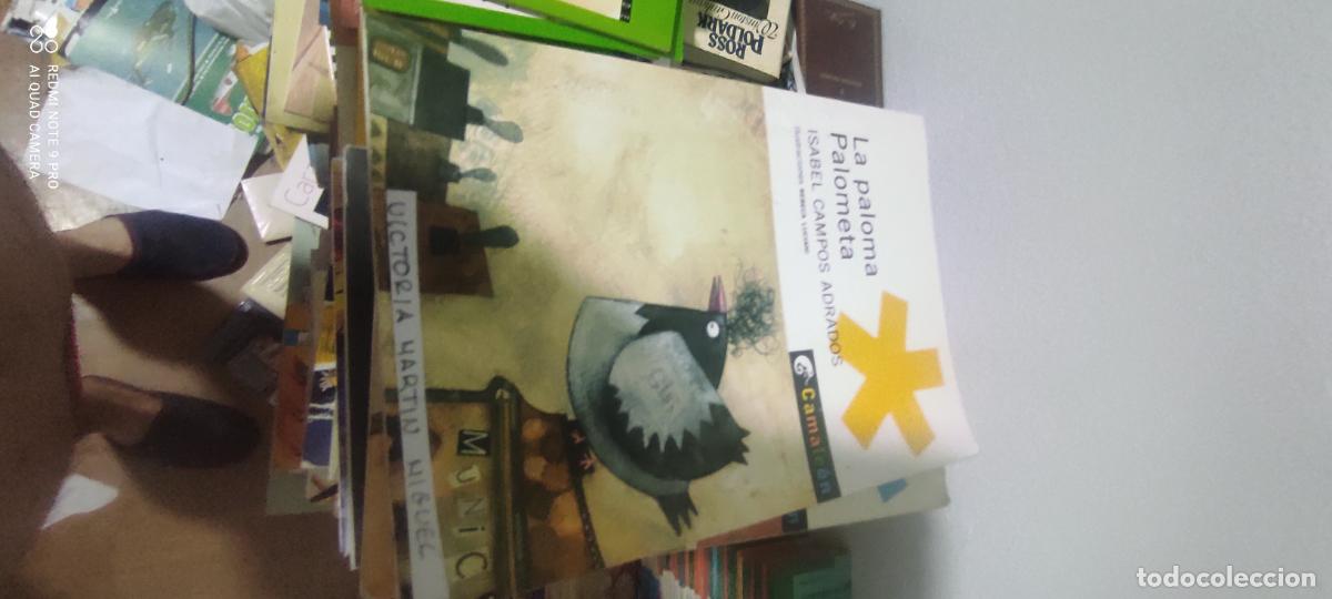 Libros de segunda mano: La paloma palometa - Isabel Campos Adrados