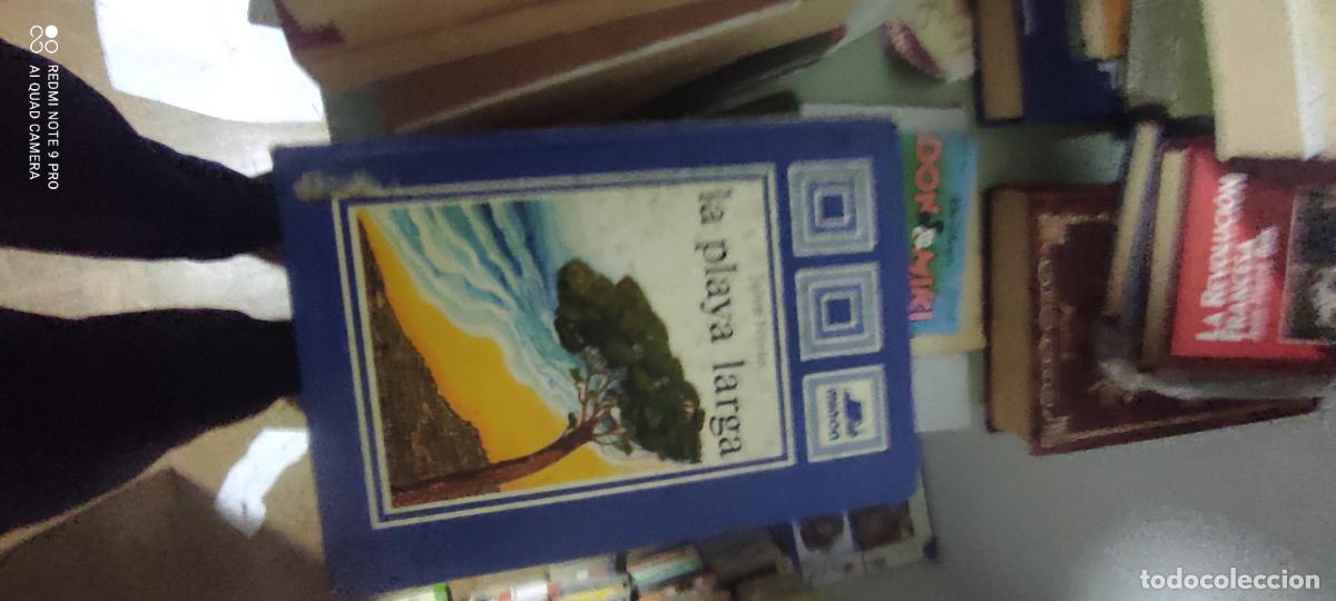 Livros em segunda m&atilde;o: La playa larga (poes&iacute;a para ni&ntilde;os) - Jaime Ferr&aacute;n (Las Campanas, Editorial Mi&ntilde;&oacute;n, 1981)
