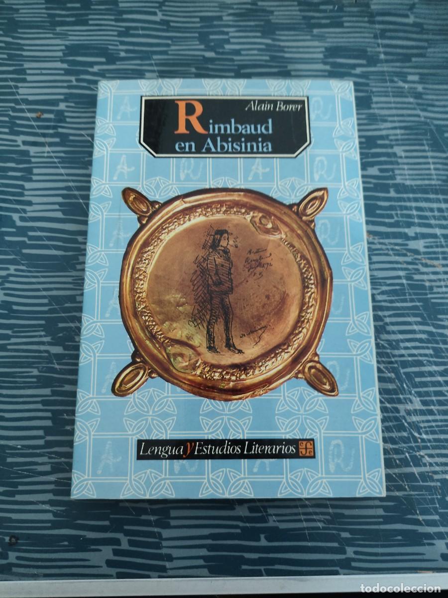 Libros de segunda mano: RIMBAUD EN ABISINIA,ALAIN BORER,1984,288 P&Aacute;GINAS.