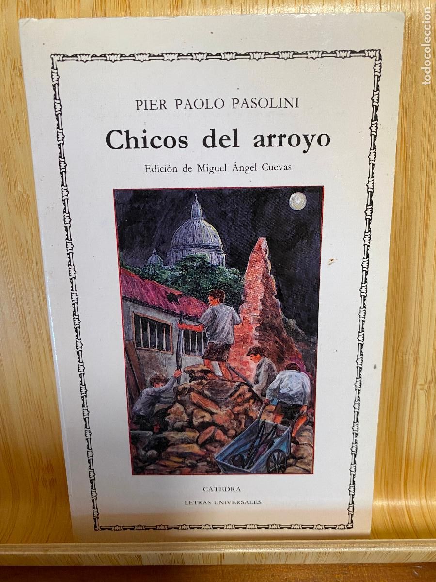Libros de segunda mano: CHICOS DEL ARROYO. PIER PAOLO PASOLINI. EDITORIAL C&Aacute;TEDRA. LETRAS UNIVERSALES N&ordm; 138