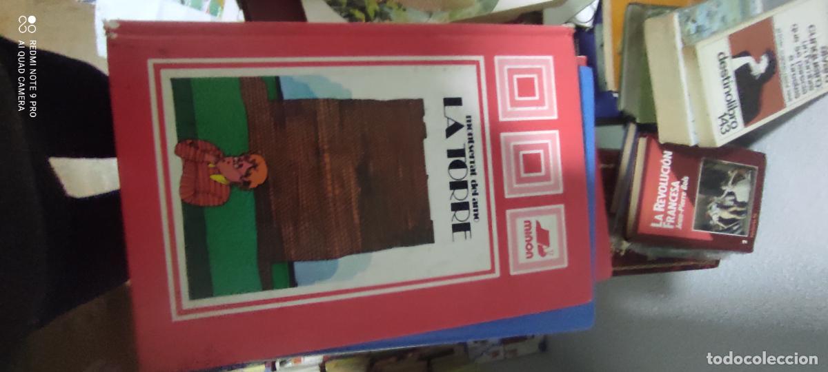 Libros de segunda mano: La Torre. DEL AMO, Montserrat. Ed. Mi&ntilde;&oacute;n. Valladolid 1980.