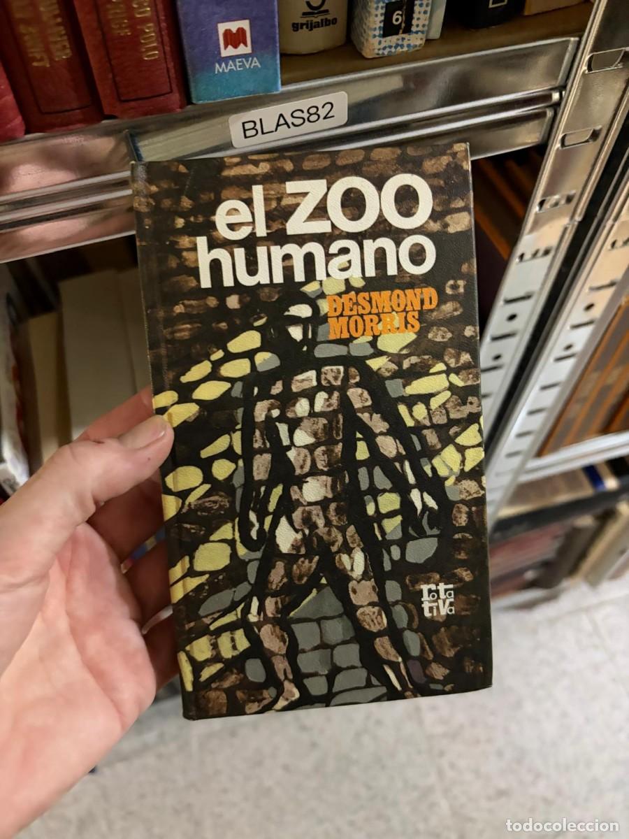 Libros de segunda mano: BLAS82 Desmond Morris, El zoo humano, Lota